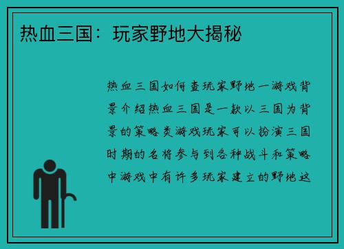 热血三国：玩家野地大揭秘